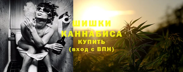 крисы Туринск