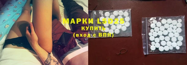 apvp Кукмор