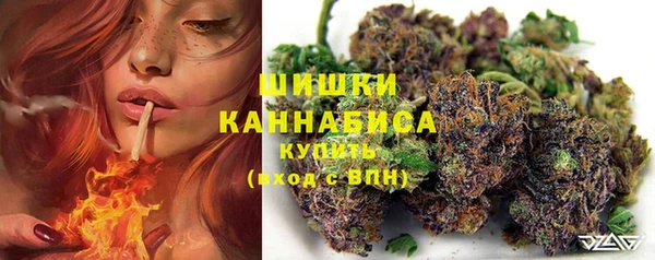 apvp Кукмор